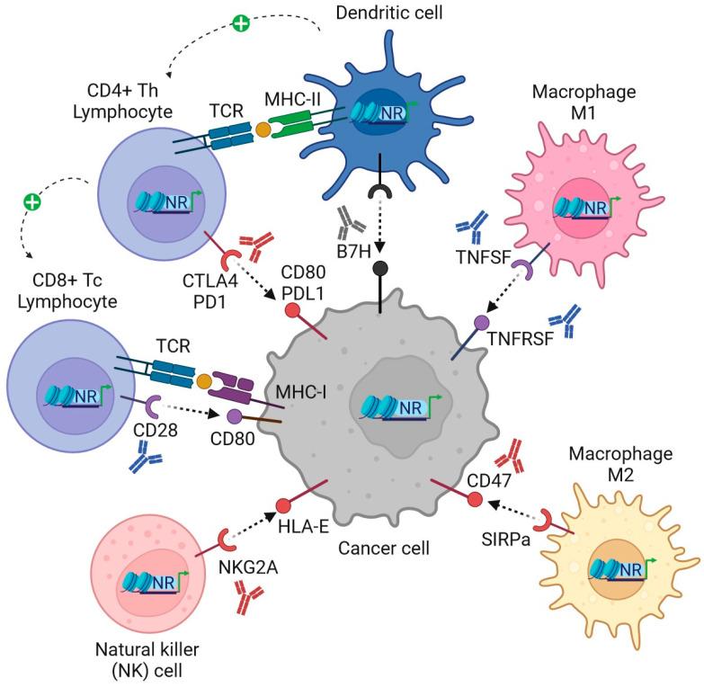 https://cdn.ncbi.nlm.nih.gov/pmc/blobs/c7b4/10572424/06cdb6849b41/ijms-24-14546-g002.jpg