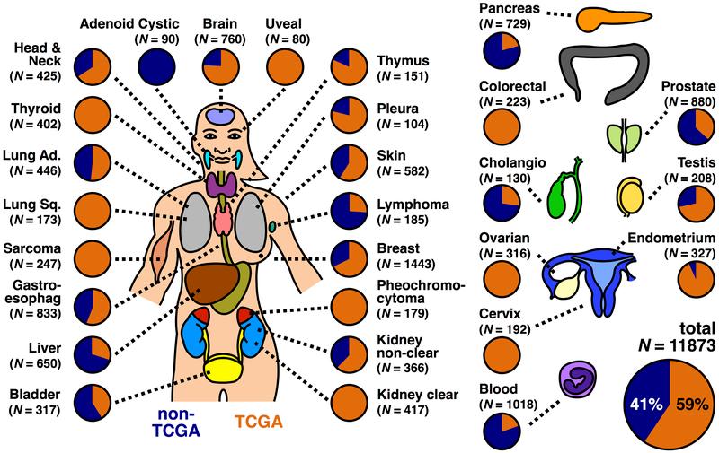 https://cdn.ncbi.nlm.nih.gov/pmc/blobs/c7b5/7031046/f8295e41539c/nihms-1546846-f0011.jpg