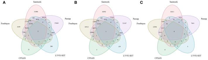 https://cdn.ncbi.nlm.nih.gov/pmc/blobs/c7b6/6379260/ac8e6fde5a58/fmicb-10-00144-g0004.jpg