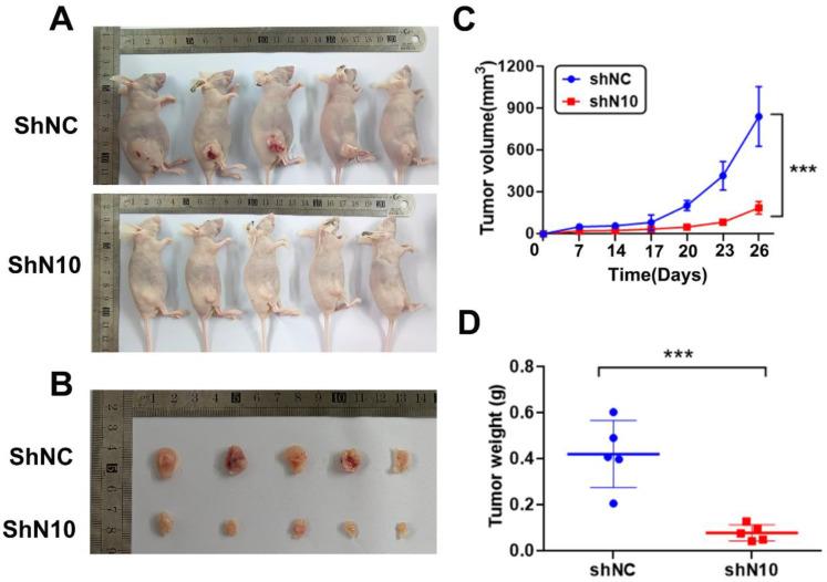 https://cdn.ncbi.nlm.nih.gov/pmc/blobs/c7b8/10357443/a385785df227/ijmsv20p1079g003.jpg