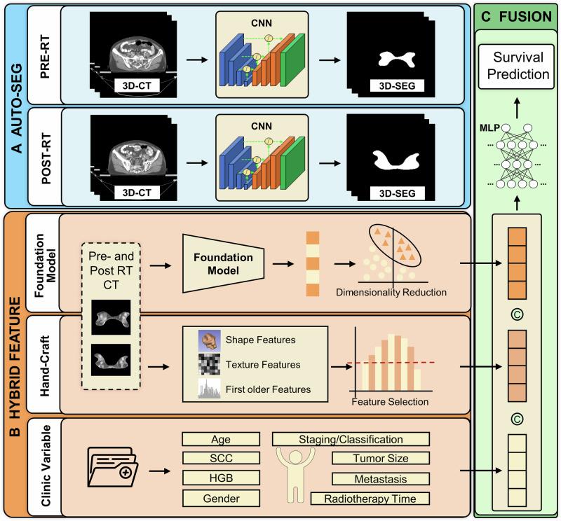 https://cdn.ncbi.nlm.nih.gov/pmc/blobs/c7b8/12322216/fc1ea148898e/41746_2025_1903_Fig5_HTML.jpg
