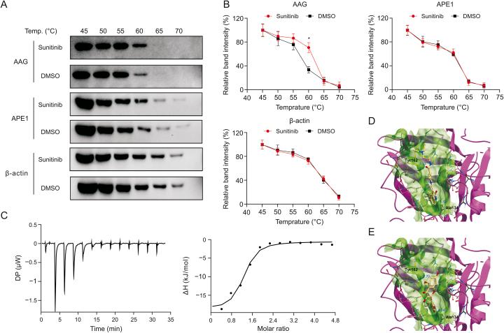 https://cdn.ncbi.nlm.nih.gov/pmc/blobs/c7b9/10257196/d9c9558c0f03/gr5.jpg