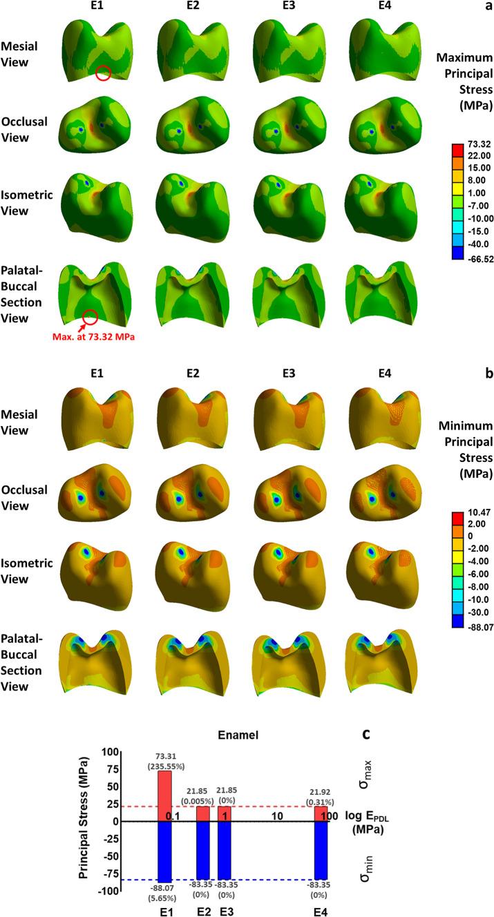 https://cdn.ncbi.nlm.nih.gov/pmc/blobs/c7b9/11718098/e2fde1b3c265/41598_2025_85578_Fig5_HTML.jpg