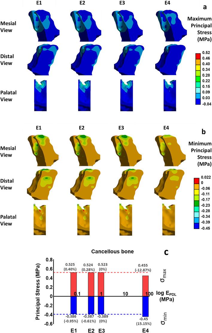 https://cdn.ncbi.nlm.nih.gov/pmc/blobs/c7b9/11718098/e64fcfb099ff/41598_2025_85578_Fig11_HTML.jpg