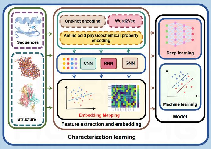 https://cdn.ncbi.nlm.nih.gov/pmc/blobs/c7ba/12168265/dcd1b8c18541/13040_2025_457_Fig4_HTML.jpg