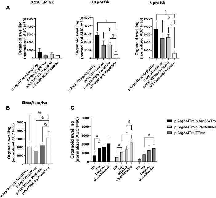 https://cdn.ncbi.nlm.nih.gov/pmc/blobs/c7bc/10063961/4a777da1c809/fmolb-10-1155705-g002.jpg