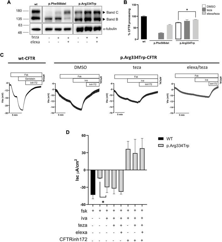 https://cdn.ncbi.nlm.nih.gov/pmc/blobs/c7bc/10063961/dfe7dc3edba6/fmolb-10-1155705-g003.jpg