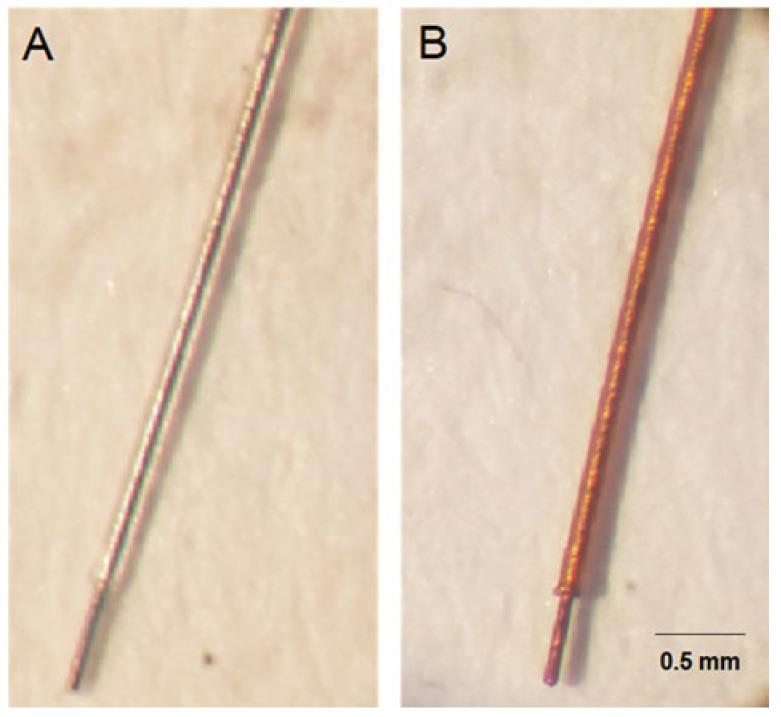 https://cdn.ncbi.nlm.nih.gov/pmc/blobs/c7be/10976052/2d2888a9bed5/polymers-16-00823-g003.jpg
