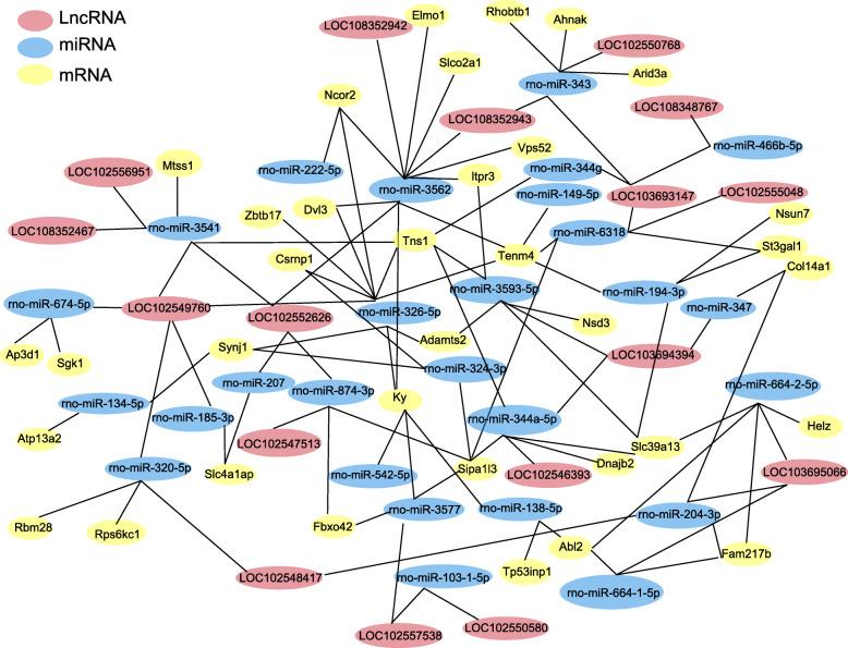 https://cdn.ncbi.nlm.nih.gov/pmc/blobs/c7be/7890637/21a3ef5659e4/12974_2021_2098_Fig11_HTML.jpg