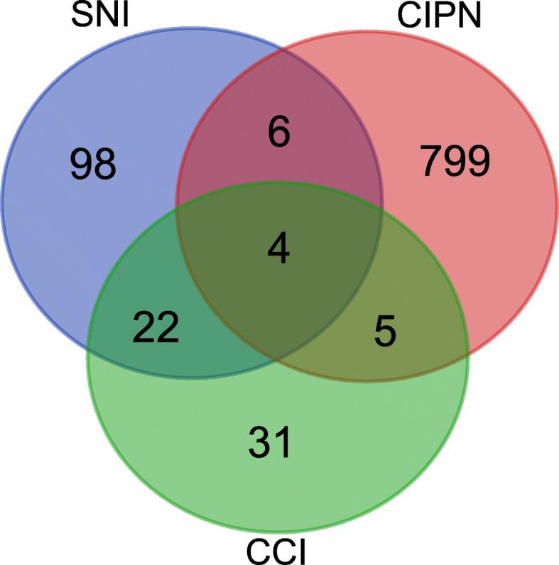 https://cdn.ncbi.nlm.nih.gov/pmc/blobs/c7be/7890637/4952c4a4aa7d/12974_2021_2098_Fig10_HTML.jpg