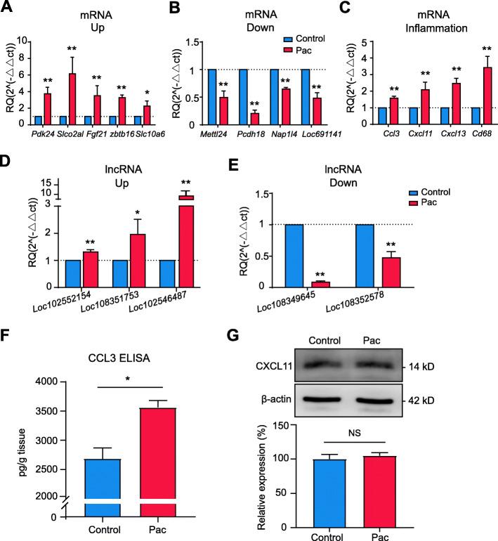 https://cdn.ncbi.nlm.nih.gov/pmc/blobs/c7be/7890637/7719e9d98d35/12974_2021_2098_Fig5_HTML.jpg