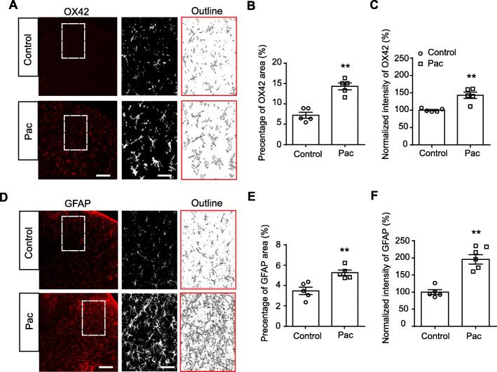 https://cdn.ncbi.nlm.nih.gov/pmc/blobs/c7be/7890637/995ed35c2f13/12974_2021_2098_Fig2_HTML.jpg