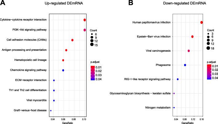 https://cdn.ncbi.nlm.nih.gov/pmc/blobs/c7be/7890637/d11057cf03dd/12974_2021_2098_Fig7_HTML.jpg