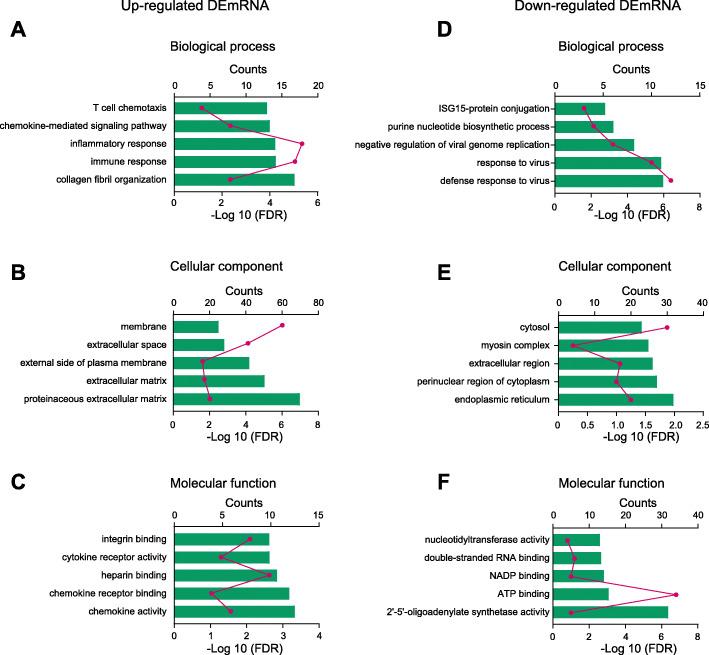 https://cdn.ncbi.nlm.nih.gov/pmc/blobs/c7be/7890637/f5fbfbeb4bd1/12974_2021_2098_Fig6_HTML.jpg