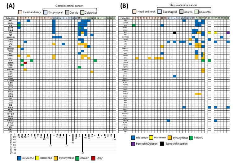 https://cdn.ncbi.nlm.nih.gov/pmc/blobs/c7bf/7281475/53f82809c1e1/cancers-12-01135-g001.jpg