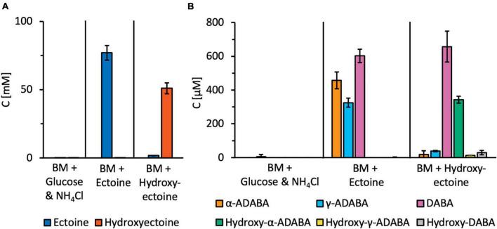https://cdn.ncbi.nlm.nih.gov/pmc/blobs/c7c0/8739950/0303fecaa5a6/fmicb-12-764731-g007.jpg