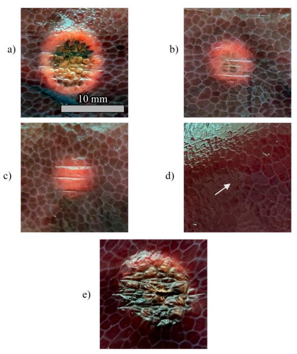 https://cdn.ncbi.nlm.nih.gov/pmc/blobs/c7c2/7697476/1c6a3b2286ab/sensors-20-06496-g010.jpg