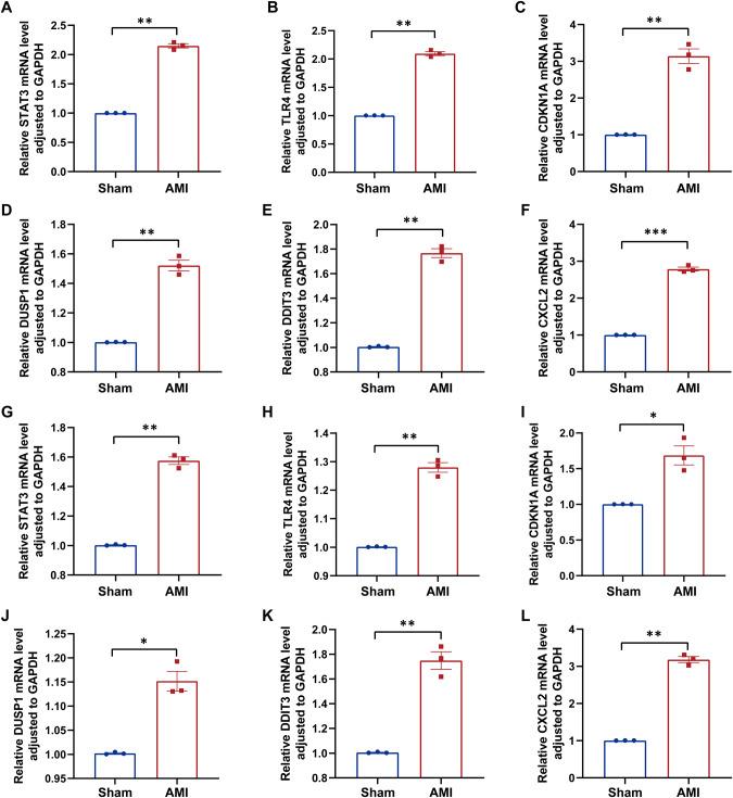 https://cdn.ncbi.nlm.nih.gov/pmc/blobs/c7c4/10435388/122fbc125aad/41435_2023_209_Fig7_HTML.jpg
