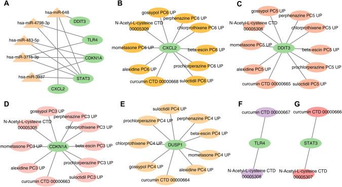 https://cdn.ncbi.nlm.nih.gov/pmc/blobs/c7c4/10435388/388b652d8b72/41435_2023_209_Fig5_HTML.jpg