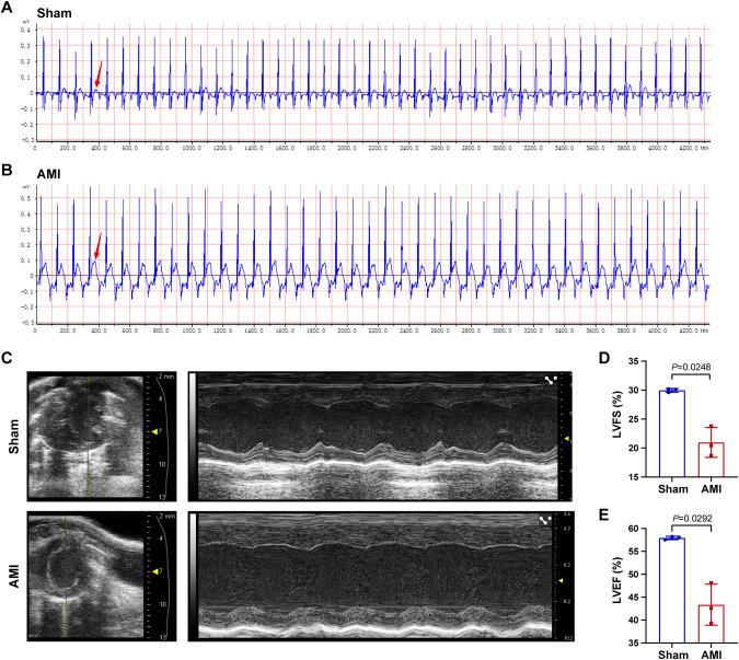 https://cdn.ncbi.nlm.nih.gov/pmc/blobs/c7c4/10435388/eab50651cb37/41435_2023_209_Fig6_HTML.jpg