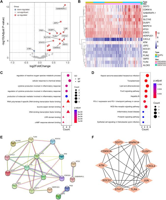 https://cdn.ncbi.nlm.nih.gov/pmc/blobs/c7c4/10435388/ec8dde07a151/41435_2023_209_Fig1_HTML.jpg