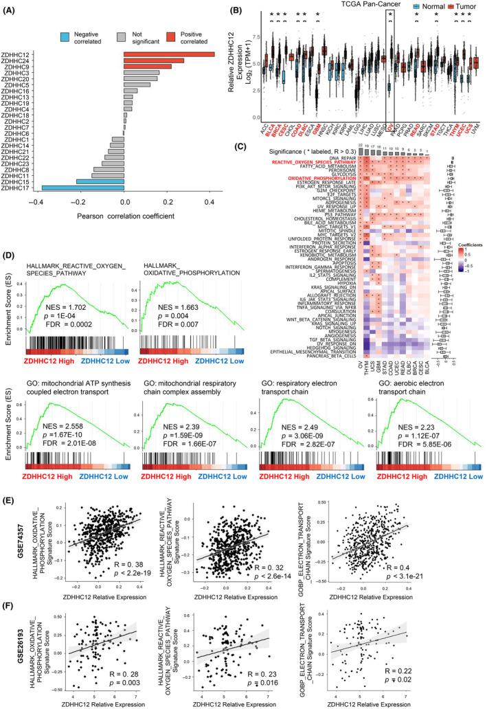 https://cdn.ncbi.nlm.nih.gov/pmc/blobs/c7c7/11007019/5a87e7b87779/CAS-115-1170-g004.jpg