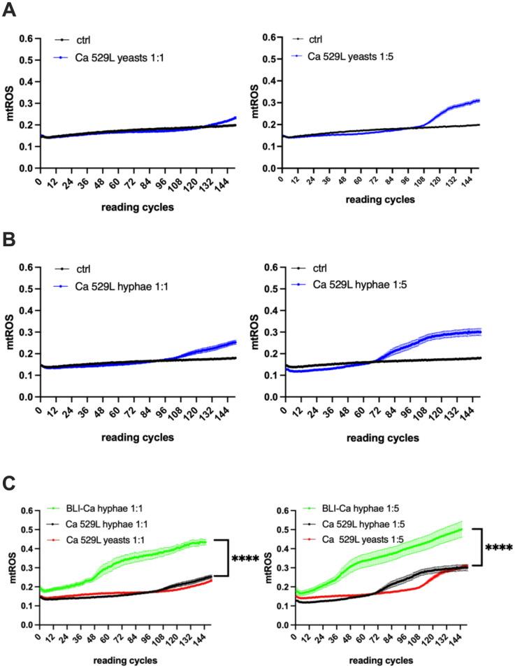 https://cdn.ncbi.nlm.nih.gov/pmc/blobs/c7c8/11104617/31b98b97959c/pone.0303449.g003.jpg