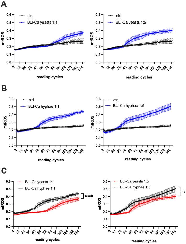 https://cdn.ncbi.nlm.nih.gov/pmc/blobs/c7c8/11104617/709971aba8a7/pone.0303449.g001.jpg