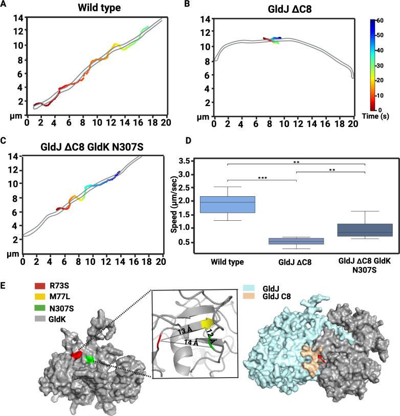 https://cdn.ncbi.nlm.nih.gov/pmc/blobs/c7c8/12239597/bcffd33cfe60/mbio.01125-25.f003.jpg