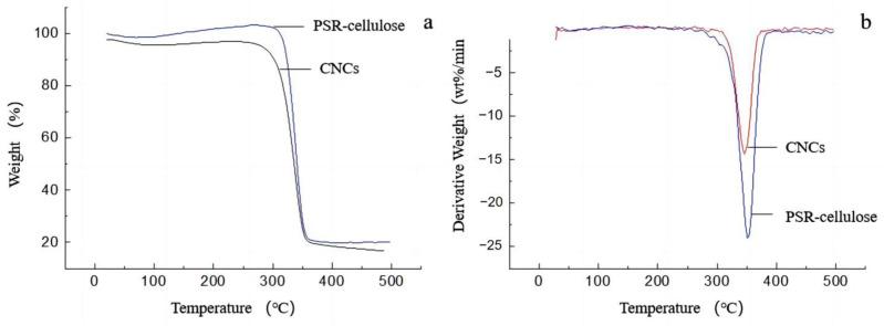 https://cdn.ncbi.nlm.nih.gov/pmc/blobs/c7ca/9865806/eefd673c43c8/polymers-15-00447-g005.jpg