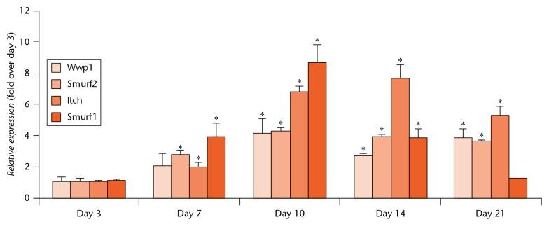 https://cdn.ncbi.nlm.nih.gov/pmc/blobs/c7cb/5376659/971552226a35/bonejointres-06-154-g001.jpg