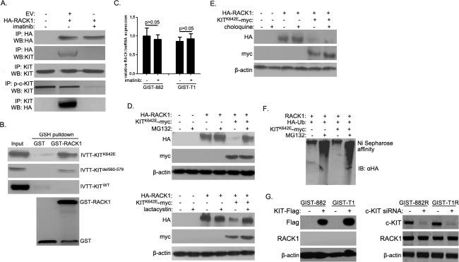 https://cdn.ncbi.nlm.nih.gov/pmc/blobs/c7cd/4924716/7529140878af/oncotarget-07-14300-g003.jpg