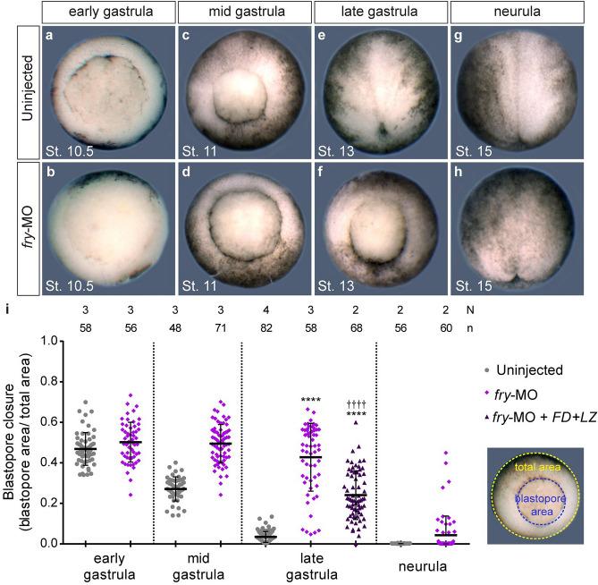 https://cdn.ncbi.nlm.nih.gov/pmc/blobs/c7ce/7987989/64e5837c2685/41598_2021_86153_Fig3_HTML.jpg