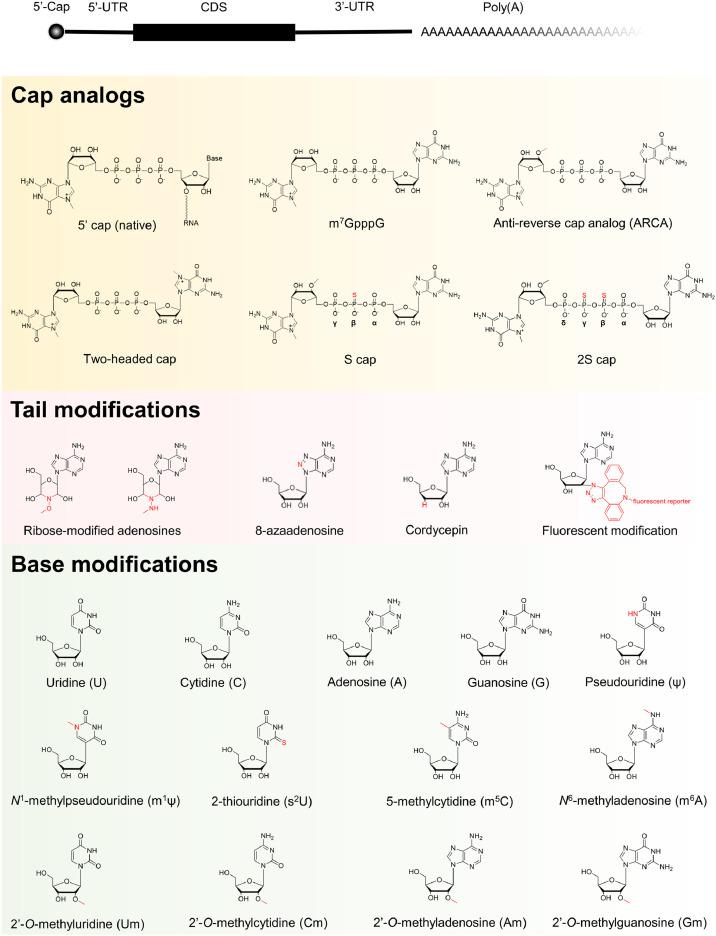 https://cdn.ncbi.nlm.nih.gov/pmc/blobs/c7cf/8198544/55df886be78c/gr1_lrg.jpg