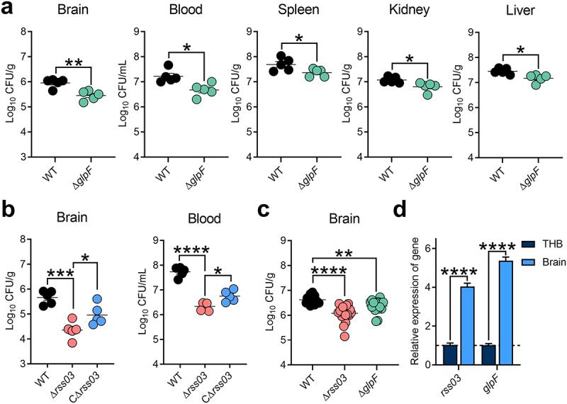 https://cdn.ncbi.nlm.nih.gov/pmc/blobs/c7d2/12005413/195e2821fa11/KVIR_A_2491635_F0006_OC.jpg