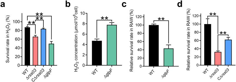 https://cdn.ncbi.nlm.nih.gov/pmc/blobs/c7d2/12005413/5f2dd5962821/KVIR_A_2491635_F0005_OC.jpg