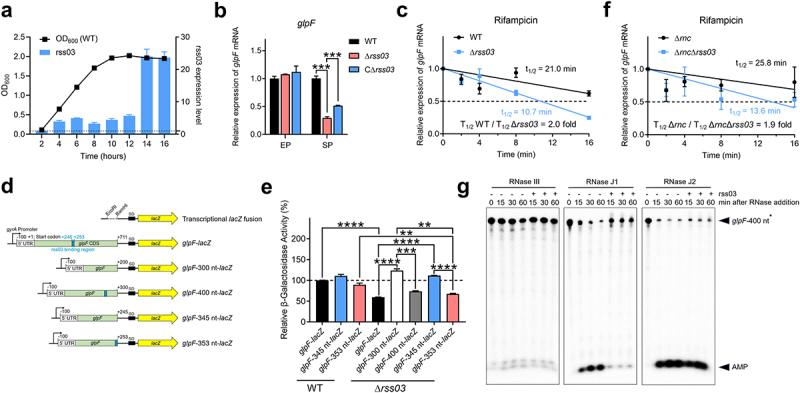 https://cdn.ncbi.nlm.nih.gov/pmc/blobs/c7d2/12005413/737e5efaa883/KVIR_A_2491635_F0004_OC.jpg