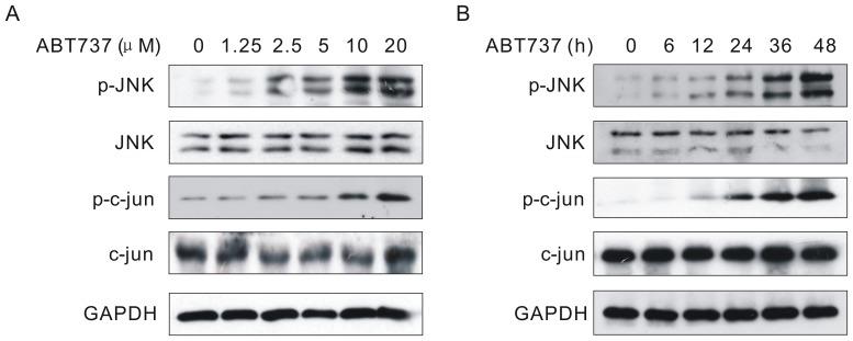 https://cdn.ncbi.nlm.nih.gov/pmc/blobs/c7d2/3527555/301bf1bfbe04/pone.0052483.g002.jpg