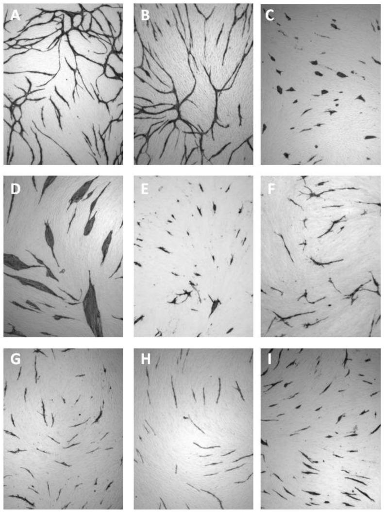 https://cdn.ncbi.nlm.nih.gov/pmc/blobs/c7d2/3795364/b92a1d481ea4/cancers-05-00762-g005.jpg