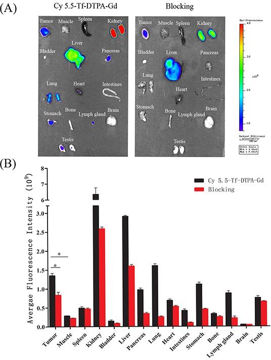 https://cdn.ncbi.nlm.nih.gov/pmc/blobs/c7d3/5129991/3b891de397d7/oncotarget-07-40047-g009.jpg
