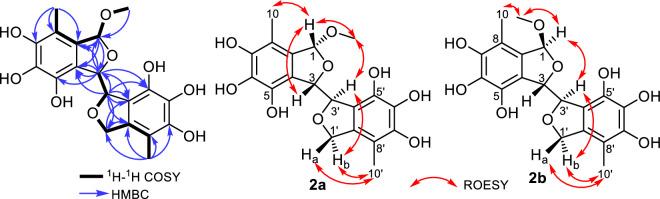 https://cdn.ncbi.nlm.nih.gov/pmc/blobs/c7d6/10901772/f1e76e106004/41598_2024_55168_Fig3_HTML.jpg