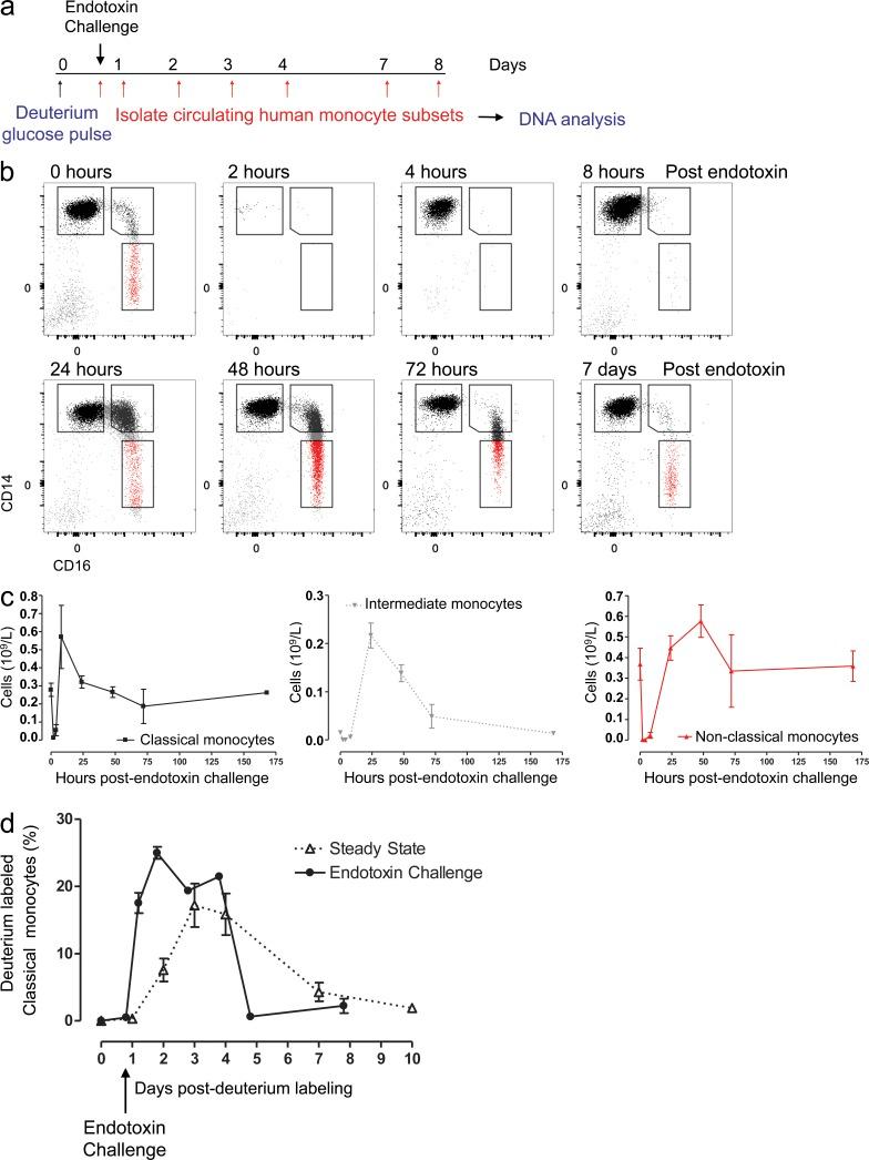 https://cdn.ncbi.nlm.nih.gov/pmc/blobs/c7d6/5502436/3f9c5f49063f/JEM_20170355_Fig2.jpg