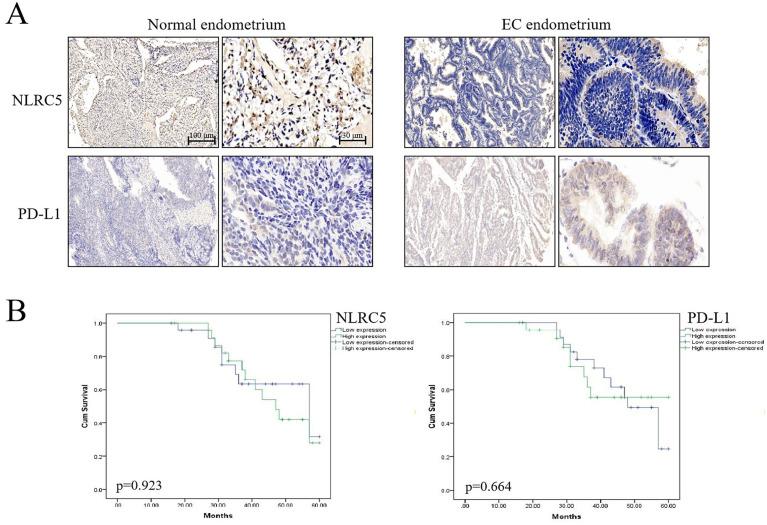 https://cdn.ncbi.nlm.nih.gov/pmc/blobs/c7d6/9340384/d0e34f35cd8d/10.1177_15330338221112742-fig1.jpg
