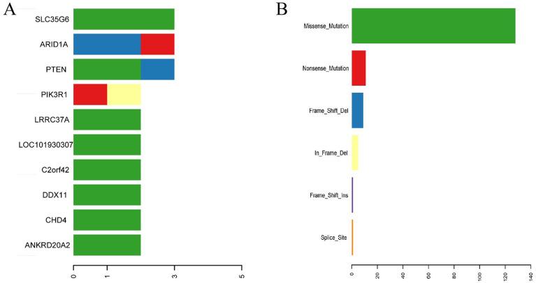 https://cdn.ncbi.nlm.nih.gov/pmc/blobs/c7d6/9340384/e3c20721bbdb/10.1177_15330338221112742-fig3.jpg