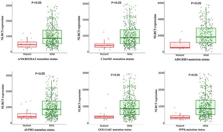 https://cdn.ncbi.nlm.nih.gov/pmc/blobs/c7d6/9340384/eea426e045e0/10.1177_15330338221112742-fig4.jpg