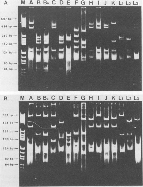 https://cdn.ncbi.nlm.nih.gov/pmc/blobs/c7db/269957/ab7939685ea2/jcm00042-0061-a.jpg