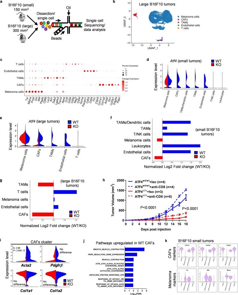 https://cdn.ncbi.nlm.nih.gov/pmc/blobs/c7dc/9203279/d998a6cc88e4/41556_2022_918_Fig9_ESM.jpg