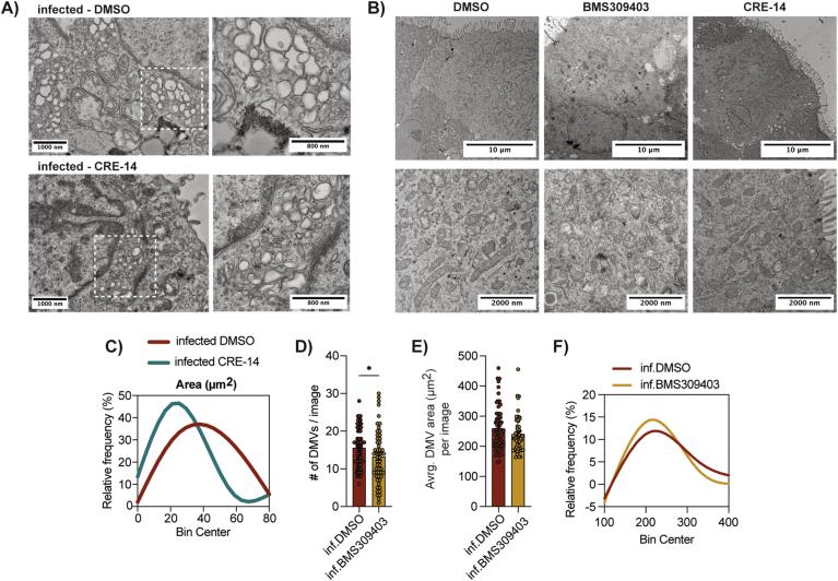 https://cdn.ncbi.nlm.nih.gov/pmc/blobs/c7dd/11904229/3532cedd1373/44321_2024_188_Fig9_ESM.jpg