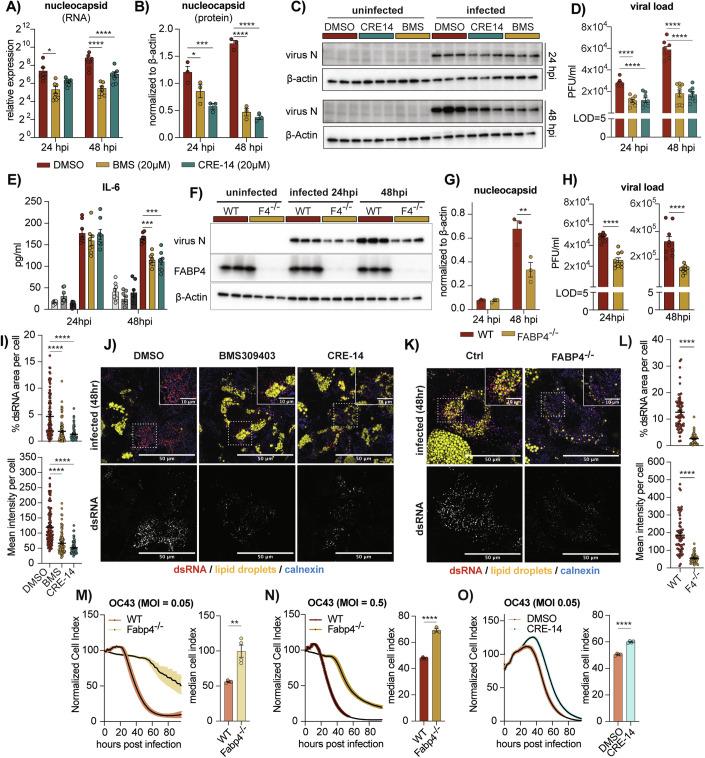 https://cdn.ncbi.nlm.nih.gov/pmc/blobs/c7dd/11904229/adc92c21dd38/44321_2024_188_Fig3_HTML.jpg