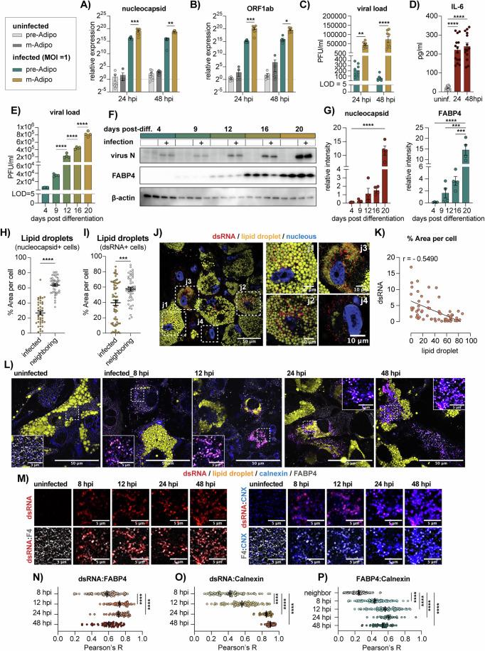 https://cdn.ncbi.nlm.nih.gov/pmc/blobs/c7dd/11904229/b972e4653772/44321_2024_188_Fig2_HTML.jpg